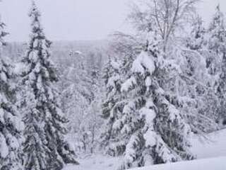 Дома для отпуска Holiday Home Joutsen a Рука Дом для отпуска-17